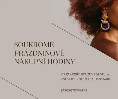 Privátní sváteční nákupní hodiny gray modern-simple