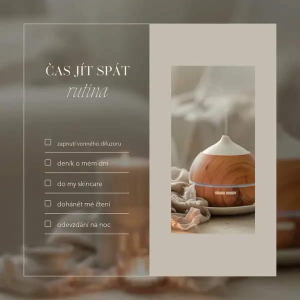 Kontrolní seznam rutin před spaním brown modern,elegant,checklist,planner,classic,graphic