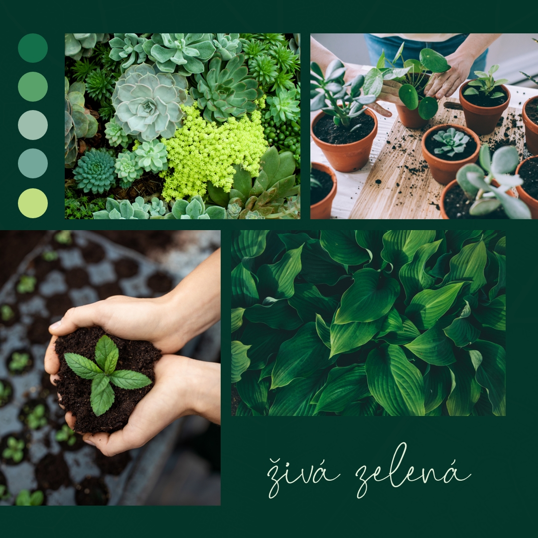 Zelený palec živý green photographic,simple,collage,palette,handwriting,graphic