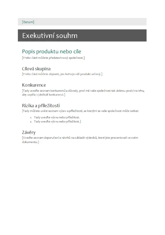 Exekutivní souhrn (Executive summary) gray modern simple