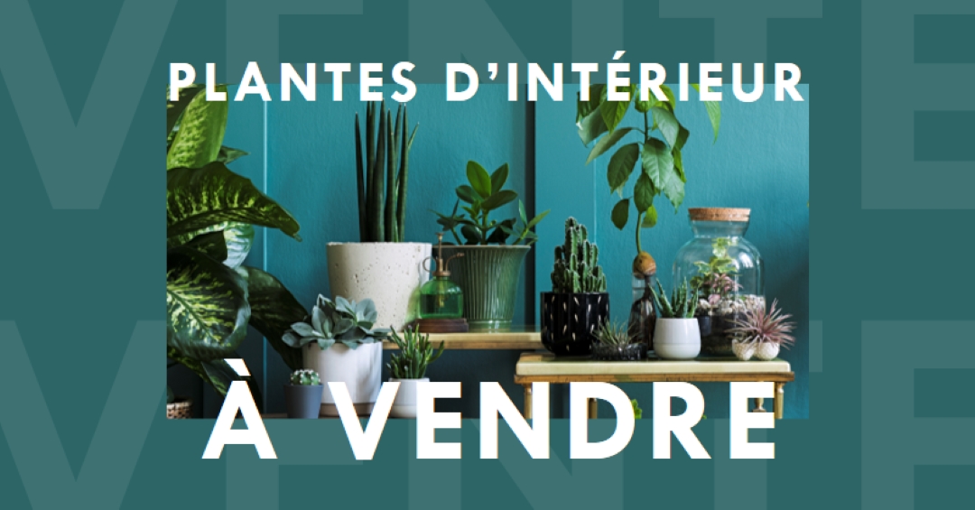 Puissance de la centrale green modern-bold