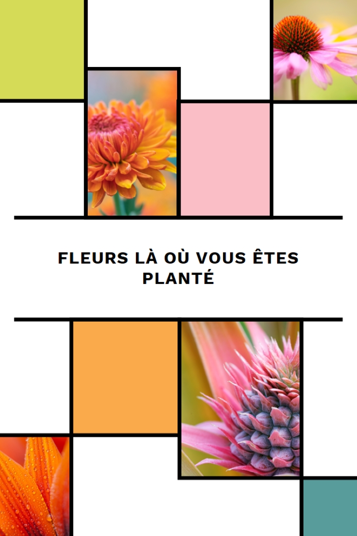 Fleurs à l’endroit où vous êtes planté white modern-geo-&-linear
