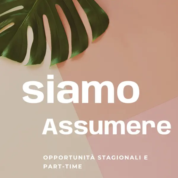 Assumiamo lavoratori stagionali pink modern-simple