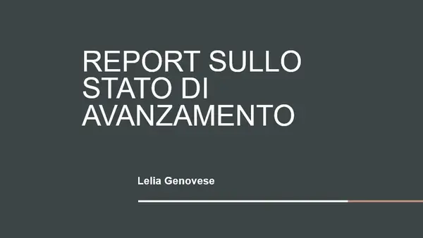 Report sullo stato del progetto organic boho