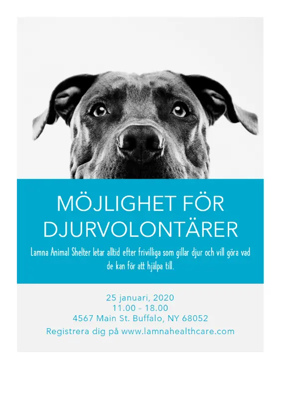 Reklamblad för djurvolontärer blue modern-simple