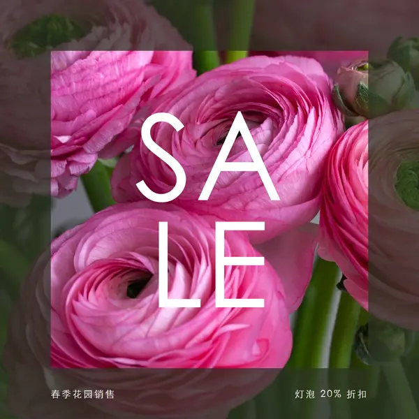 春天的花园 pink modern-simple